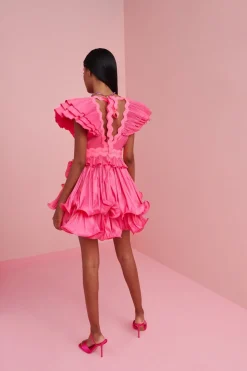 Celia B Dresses><noscript><img width=