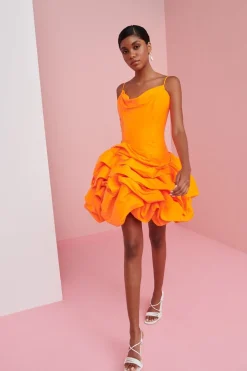 Celia B Dresses><noscript><img width=