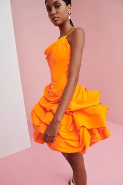 Celia B Dresses><noscript><img width=